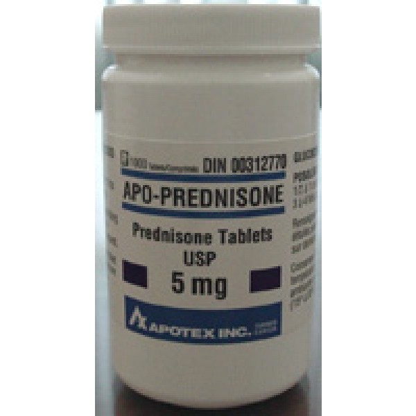 Prednisone Online Us Pharmacy