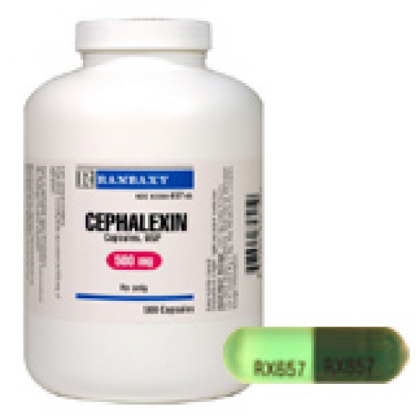 purchase cephalexin online
